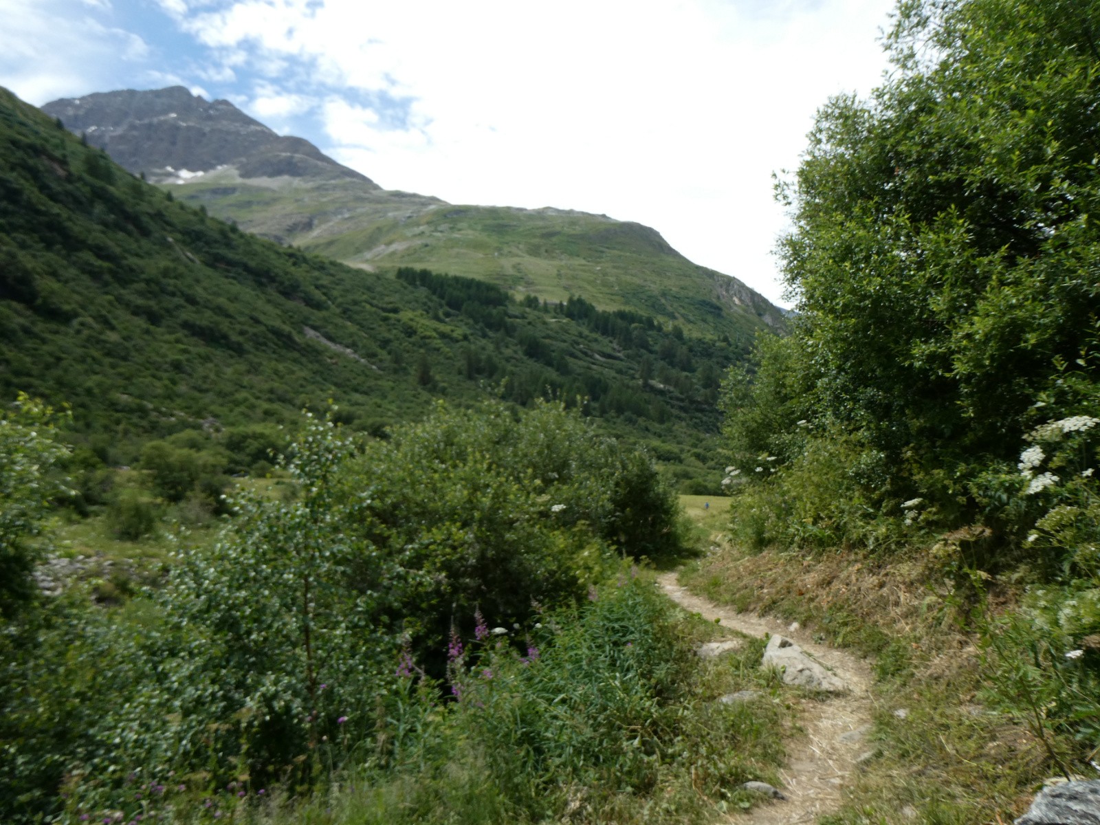 Sentier de l'Ecot.