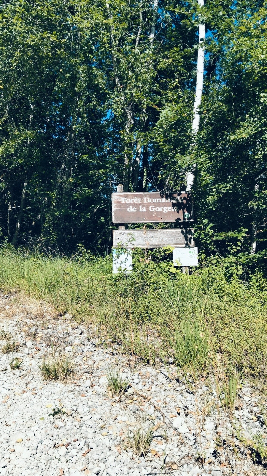 #3