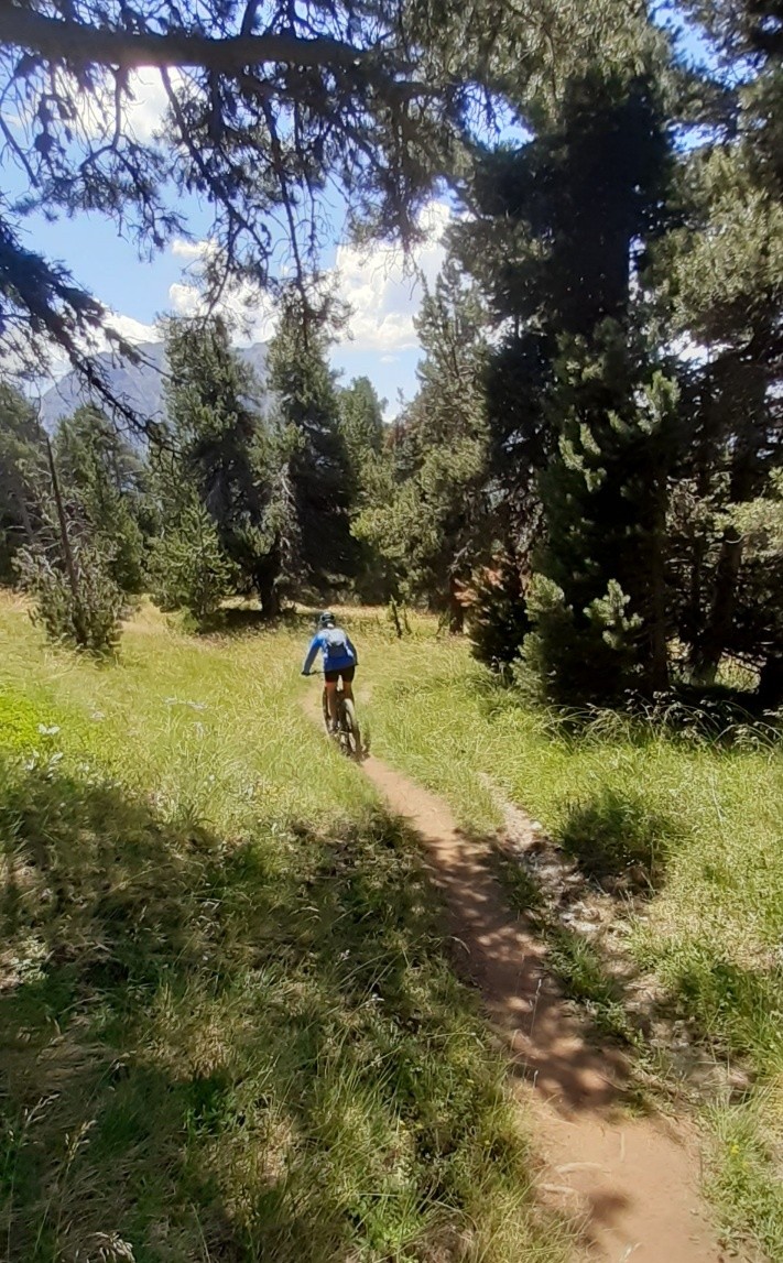 #6 Sentier Fin Fanfare bien joli dans les mélèzes Sentier Fin Fanfare bien joli dans les mélèzes