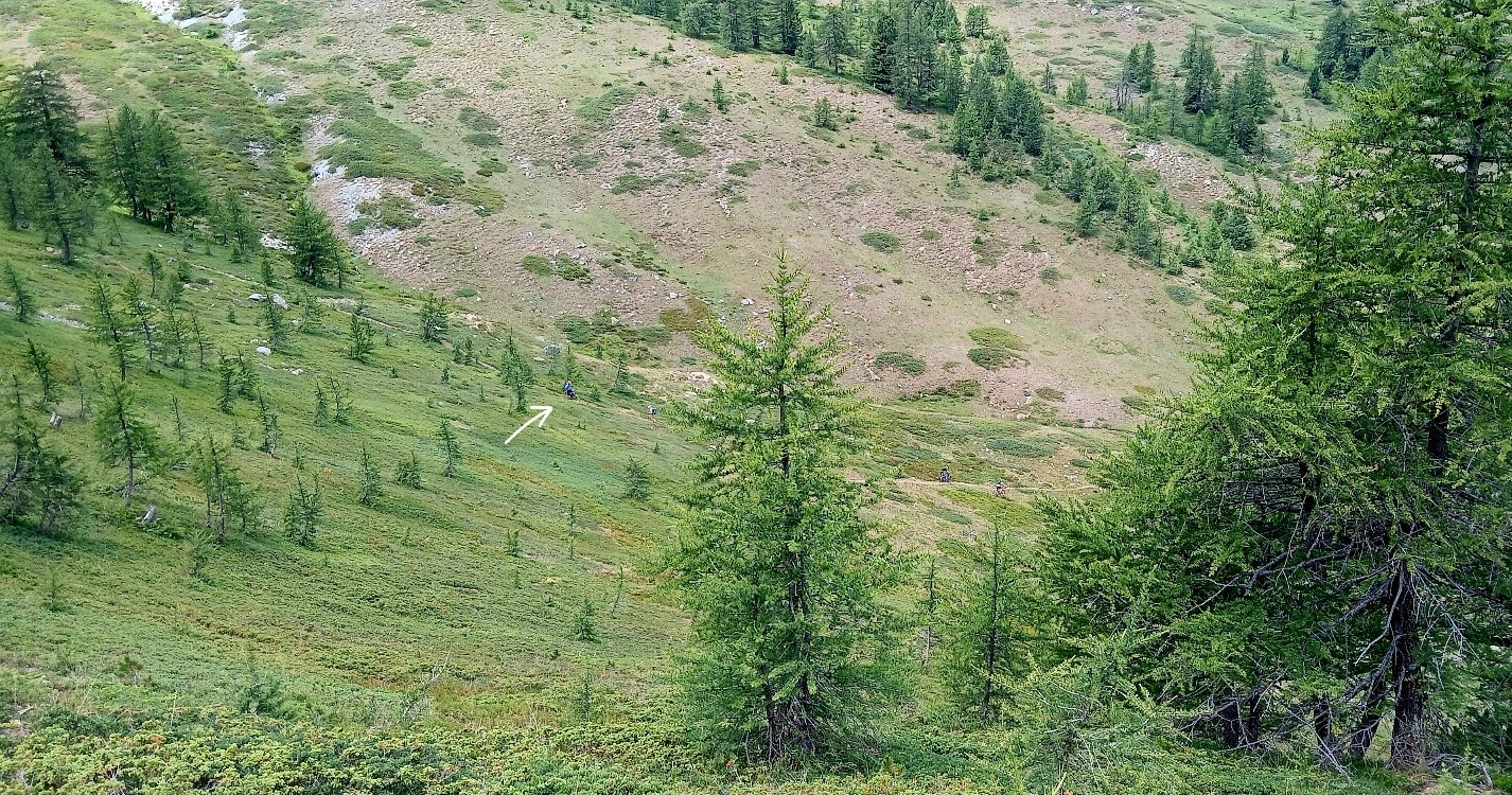 Variante départ 