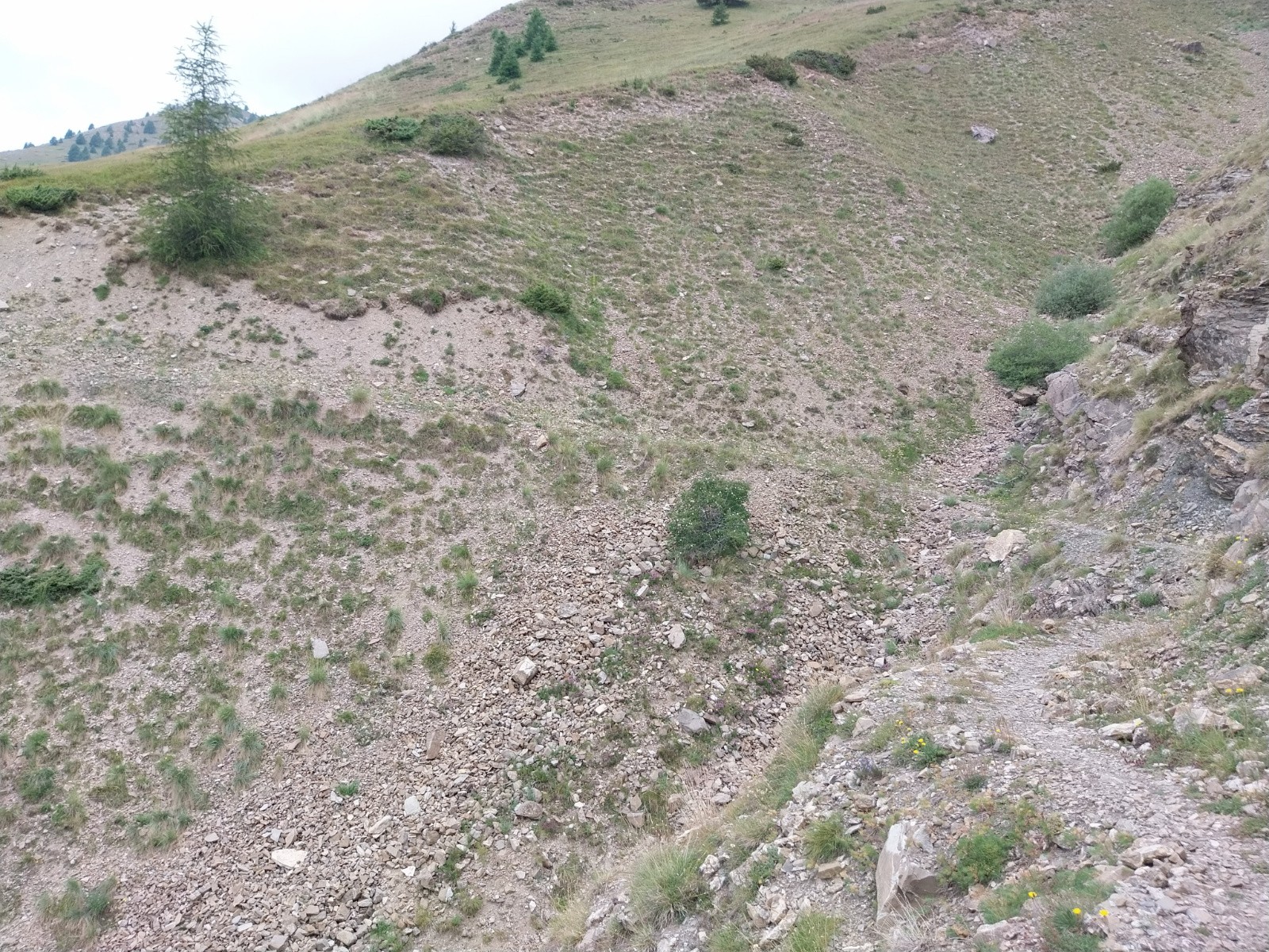 Une des nombreuses ravines