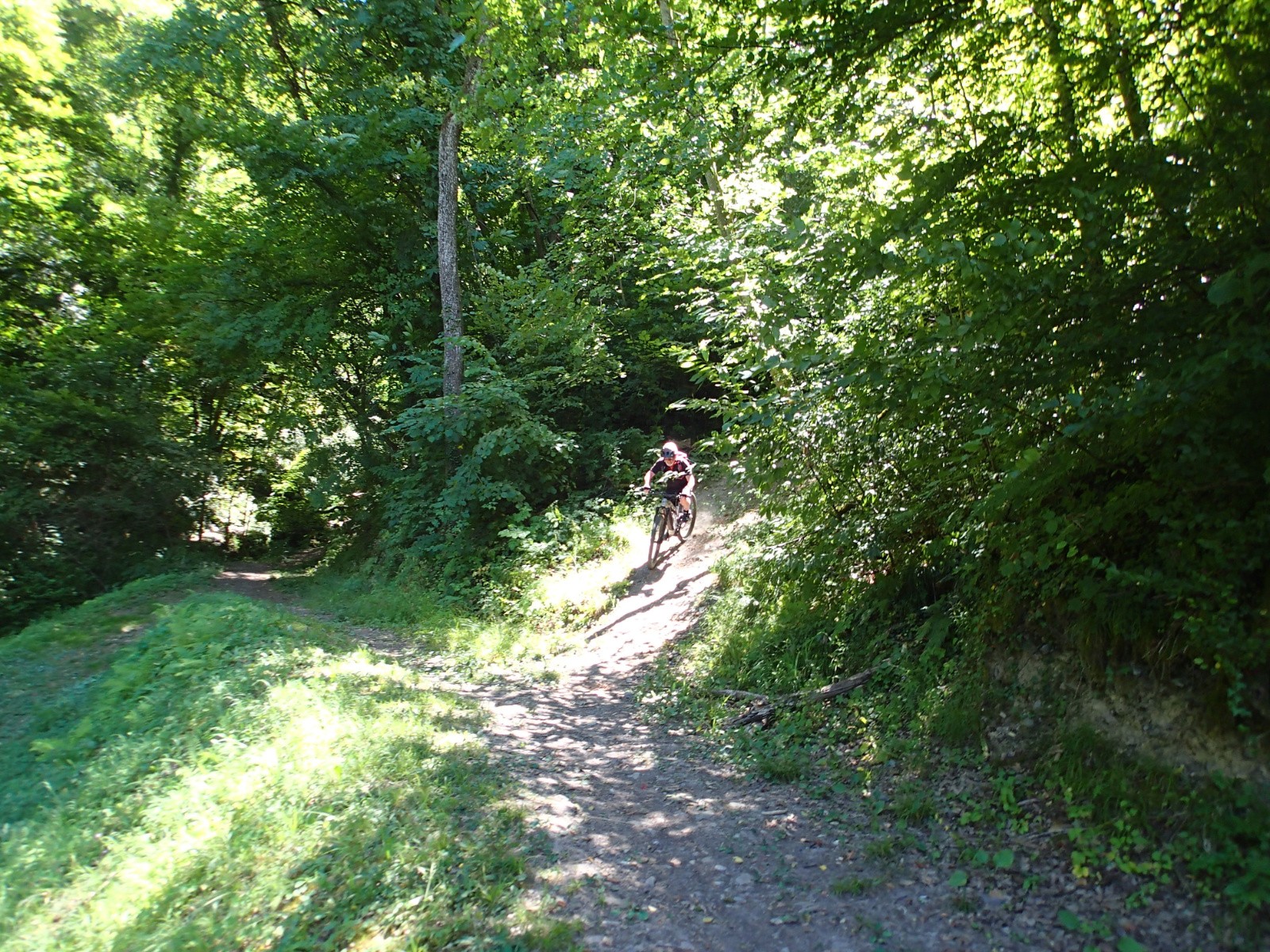 #15 La sortie du sentier de Bois Machières... La sortie du sentier de Bois Machières...