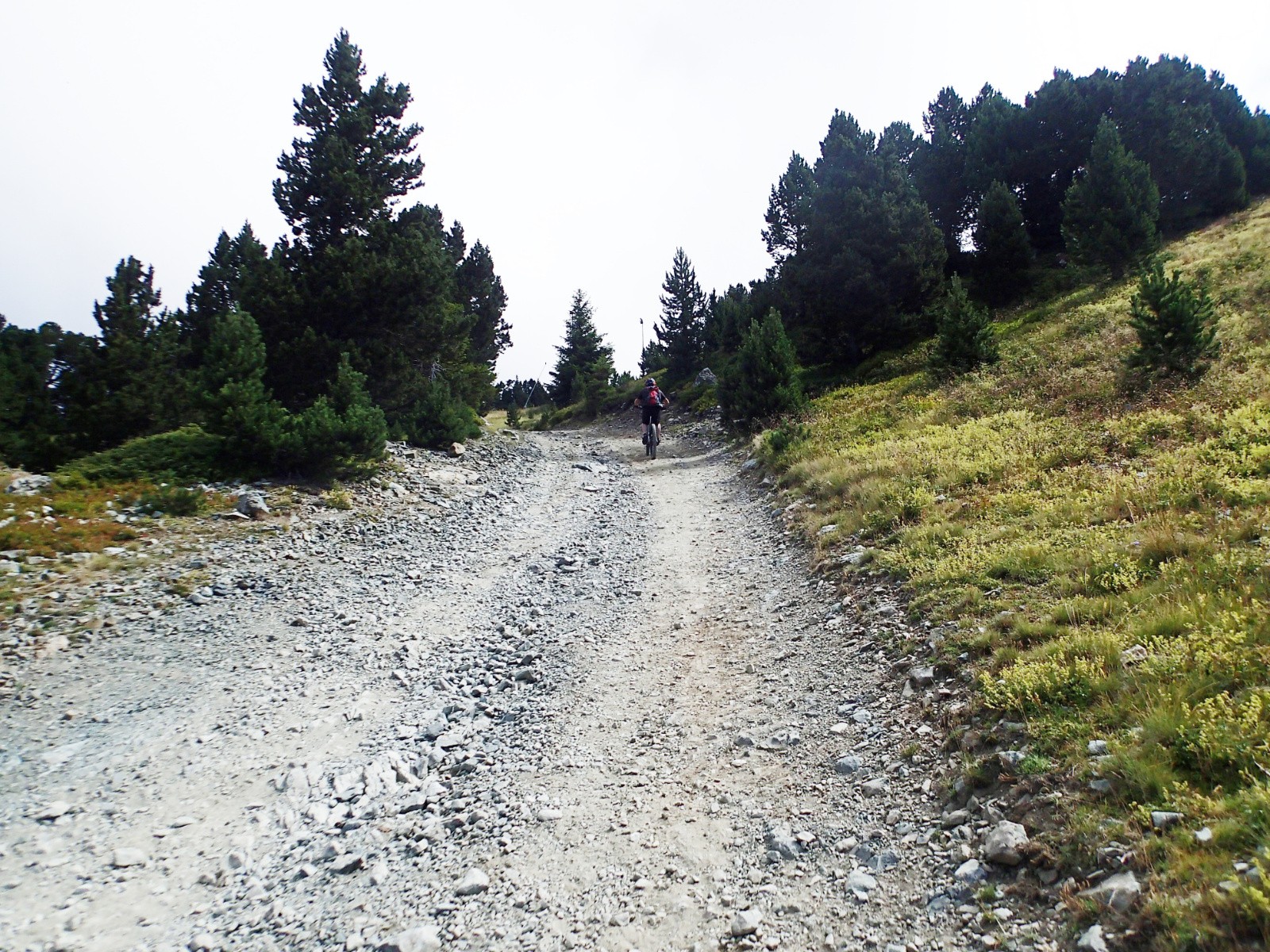 #2 Grosse pistasse ! Grosse pistasse !
