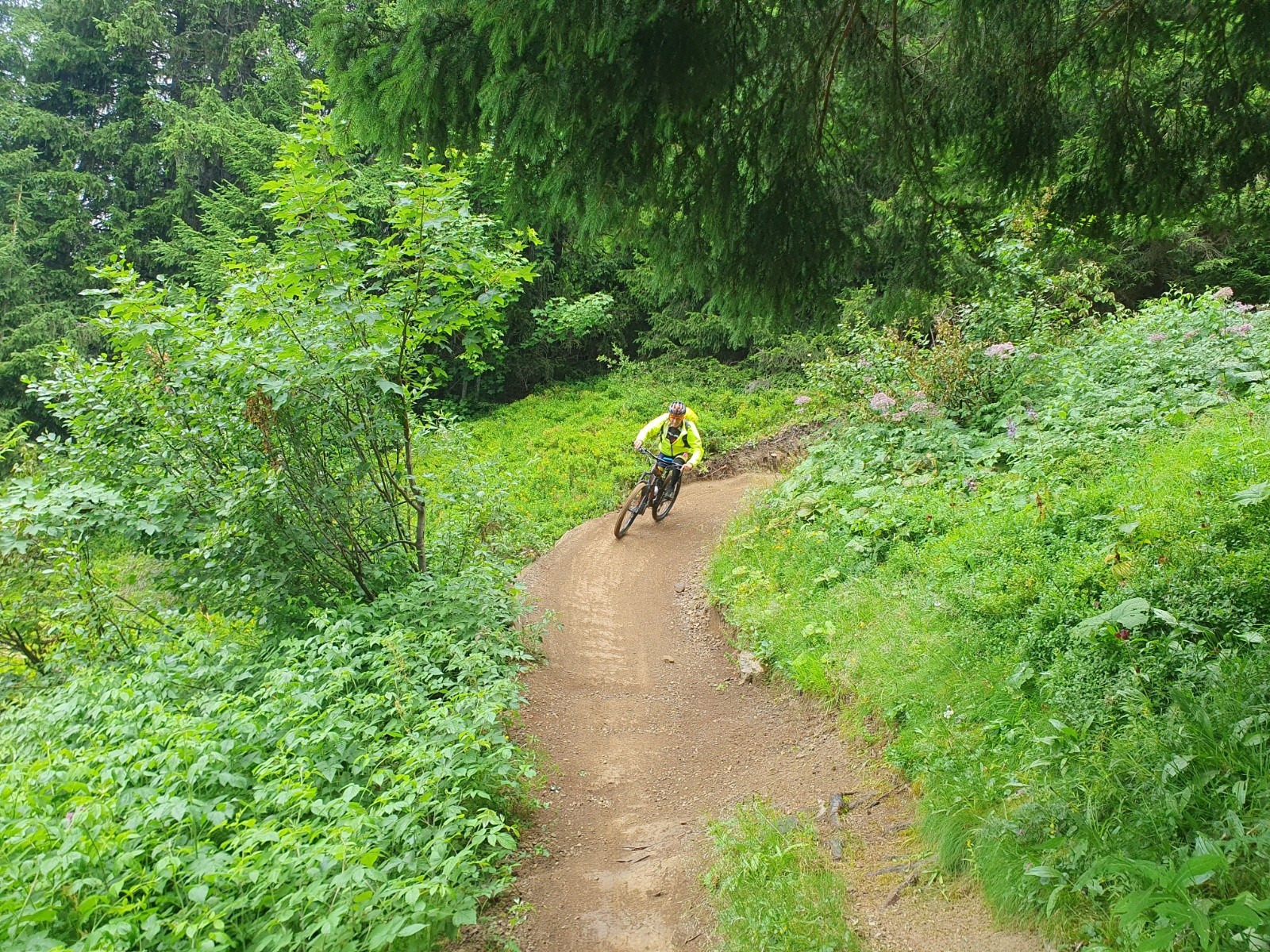 Nous avons utilisé les pistes de VTT.