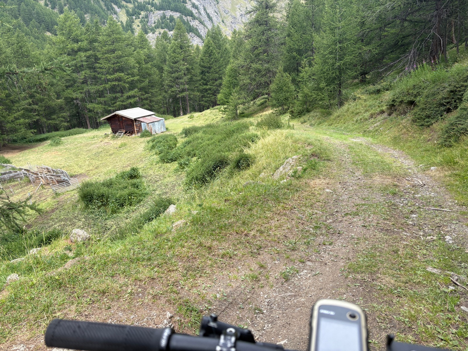 Belle piste roulante et verte en direction des Bertins...