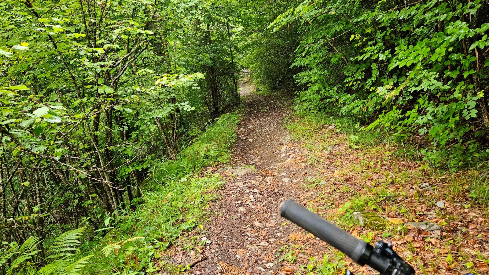 #14 Sentier des Gardes. Sentier des Gardes.