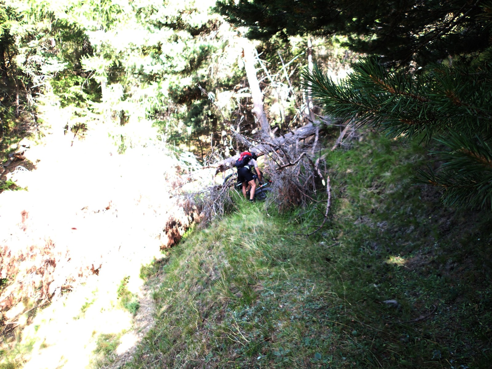 #3 Un bon coup de sanglier, ça faisait longtemps ! Un bon coup de sanglier, ça faisait longtemps !