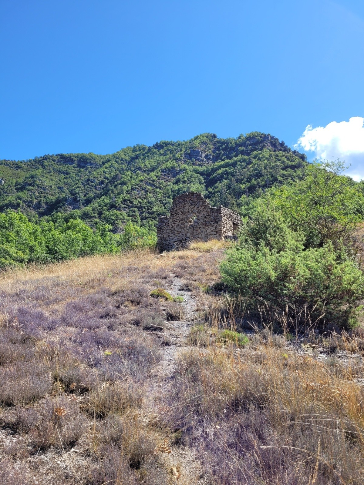 Après Béasse 