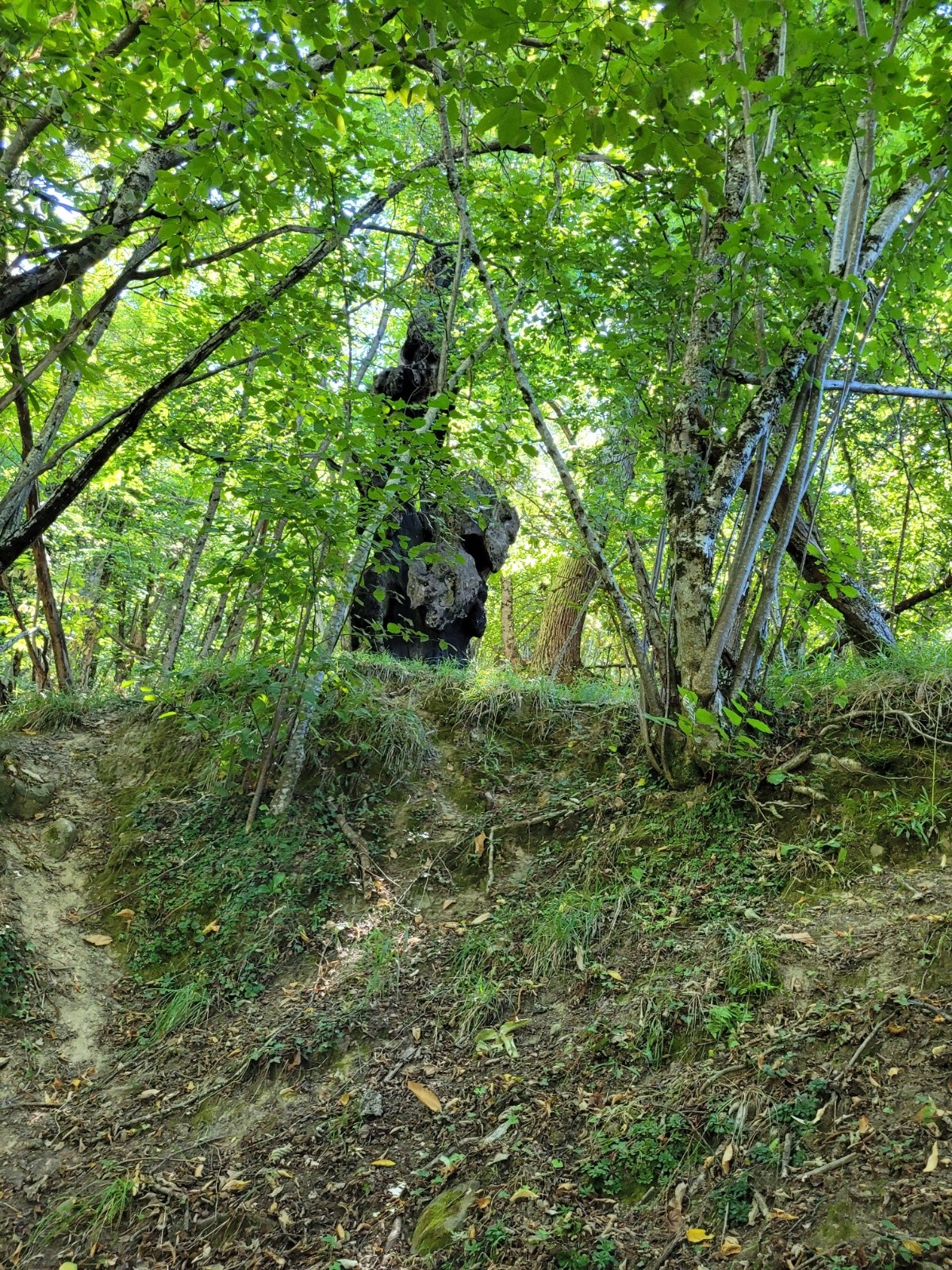 Après Béasse 