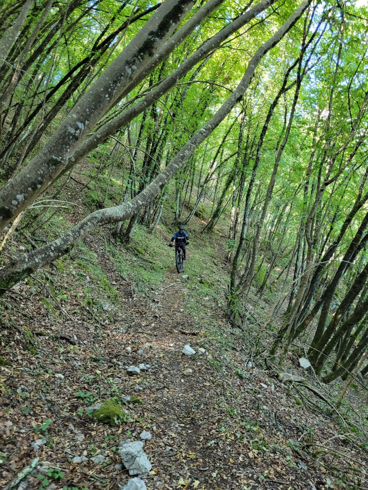 Dans la montée vers Loda 