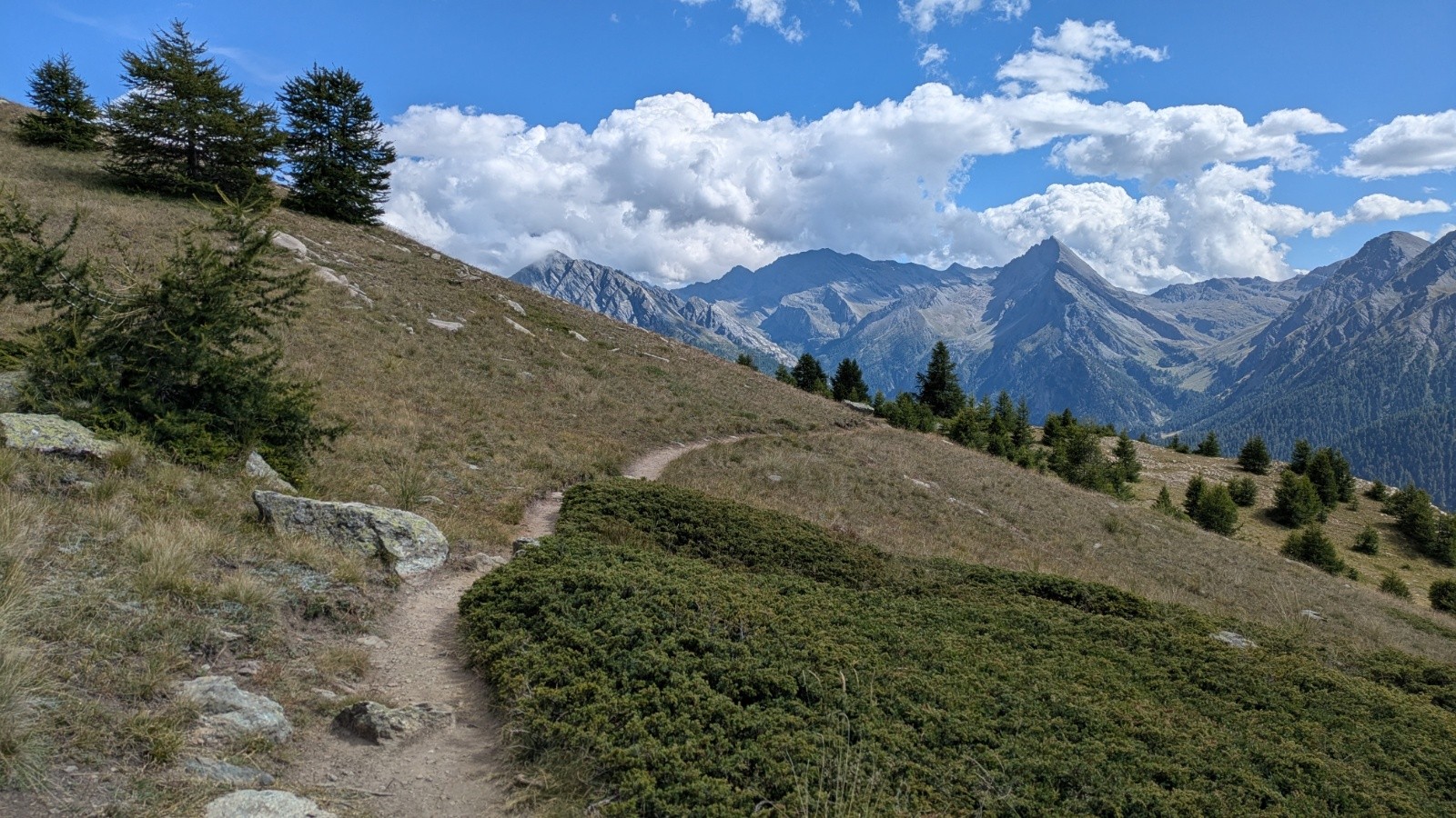 #9 GR58 GR58