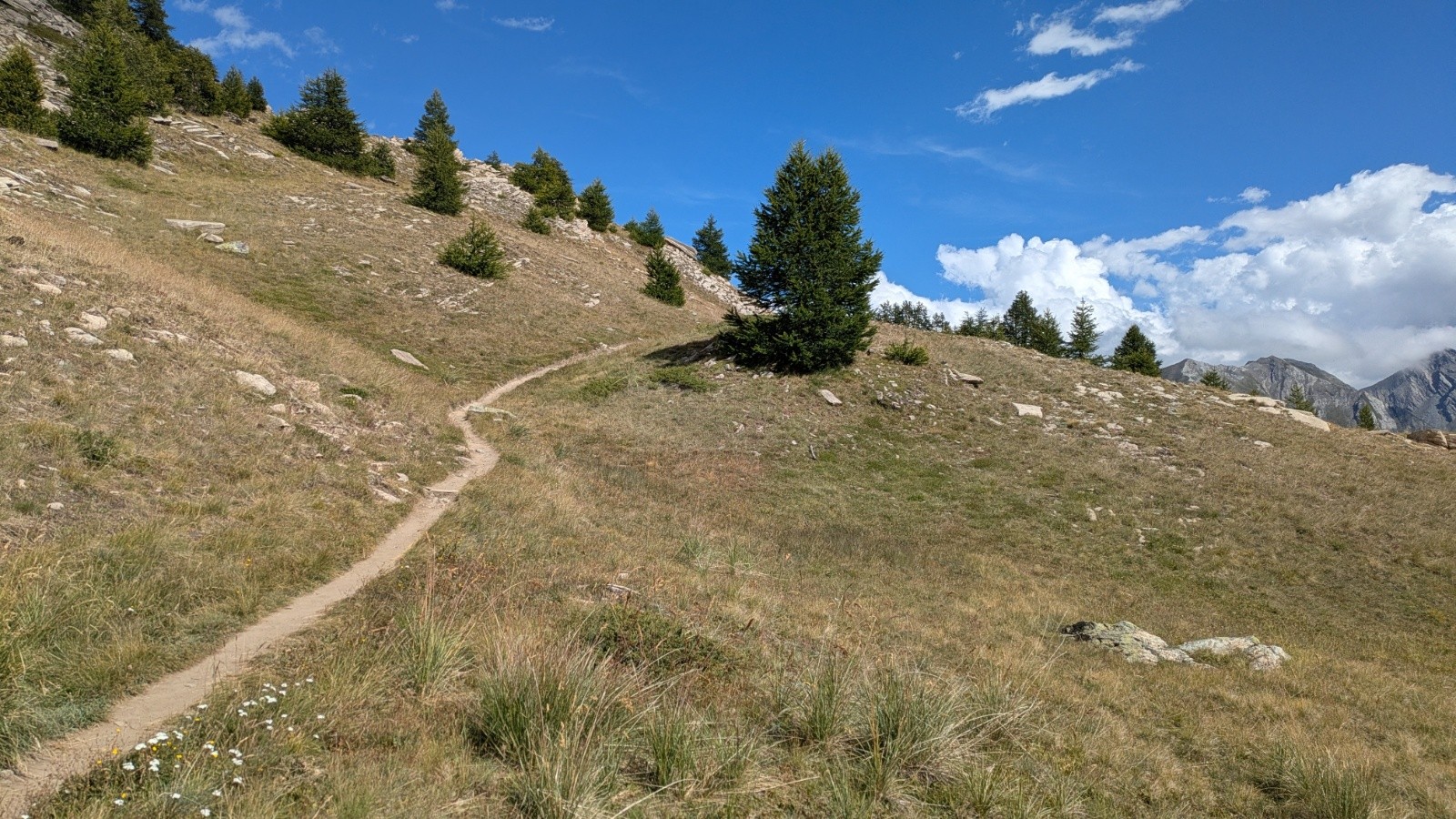 #7 GR58 GR58