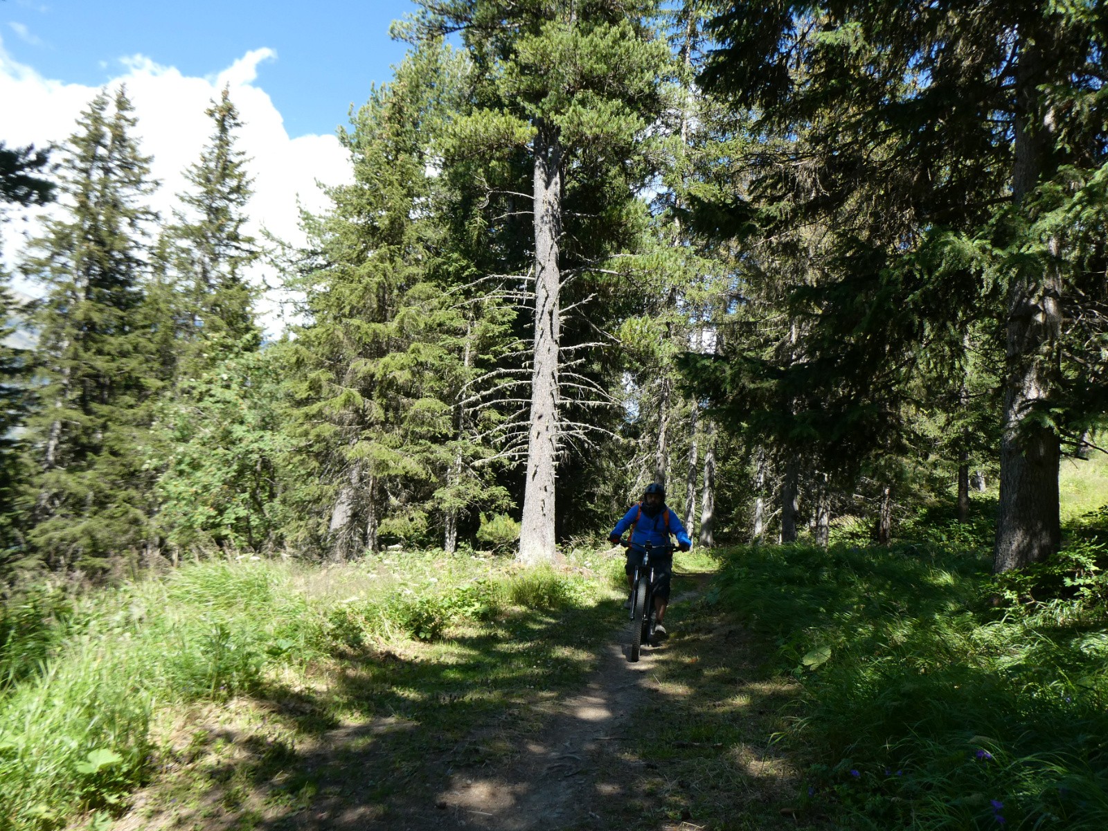 Descente dans \