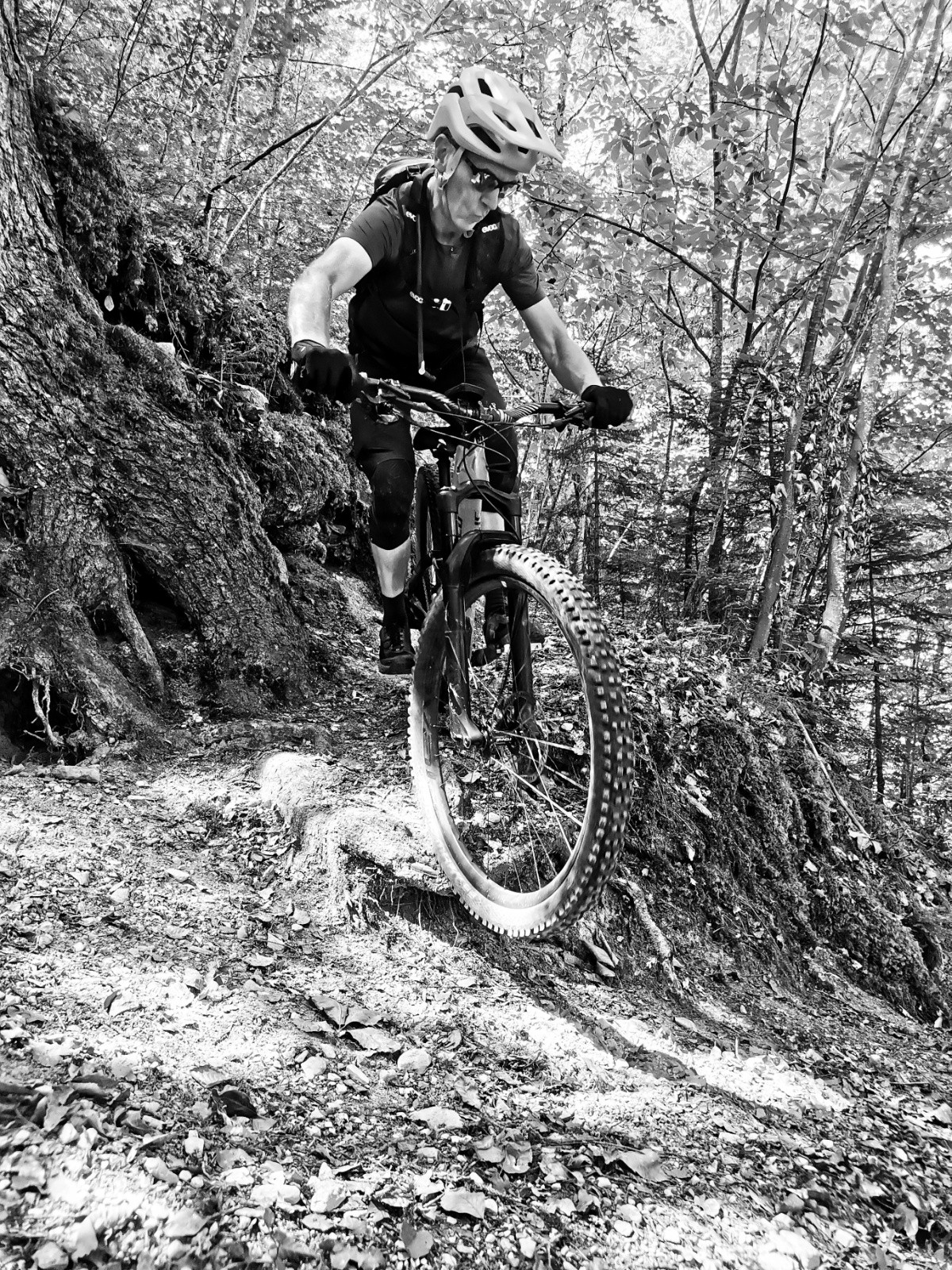 Vers les gorges de l'Arly