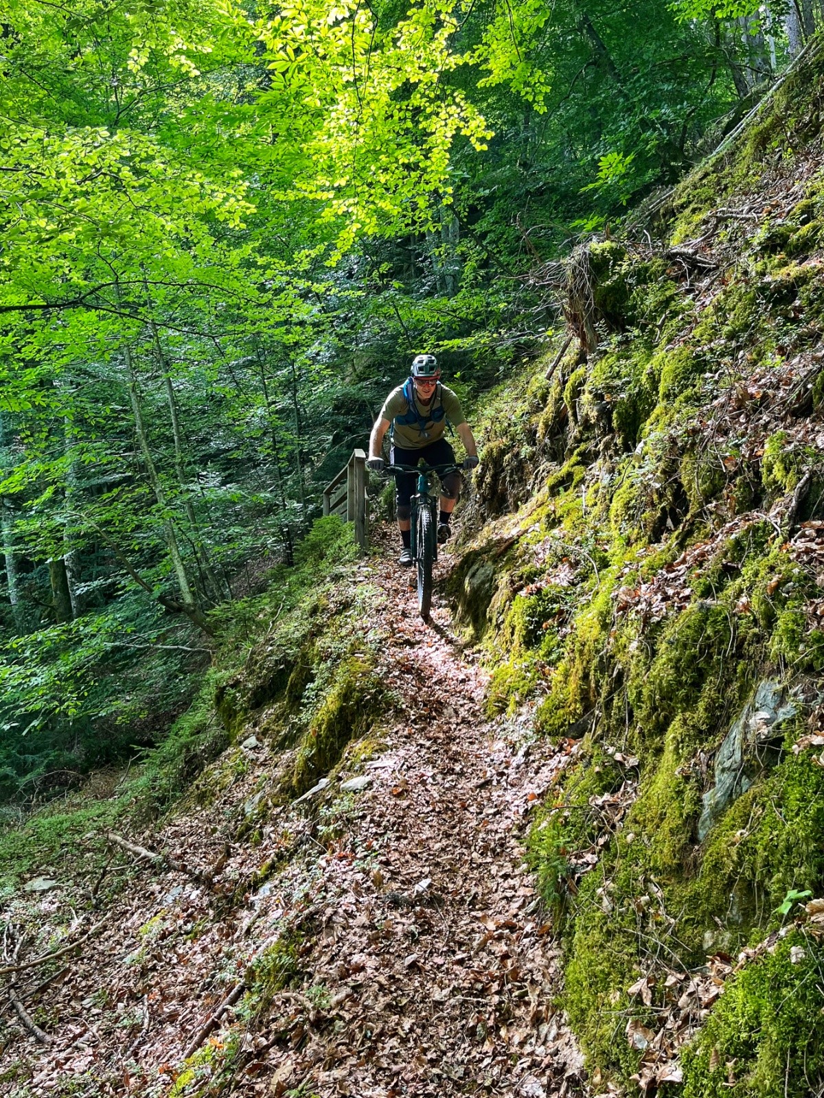  Vers les gorges de l'Arly