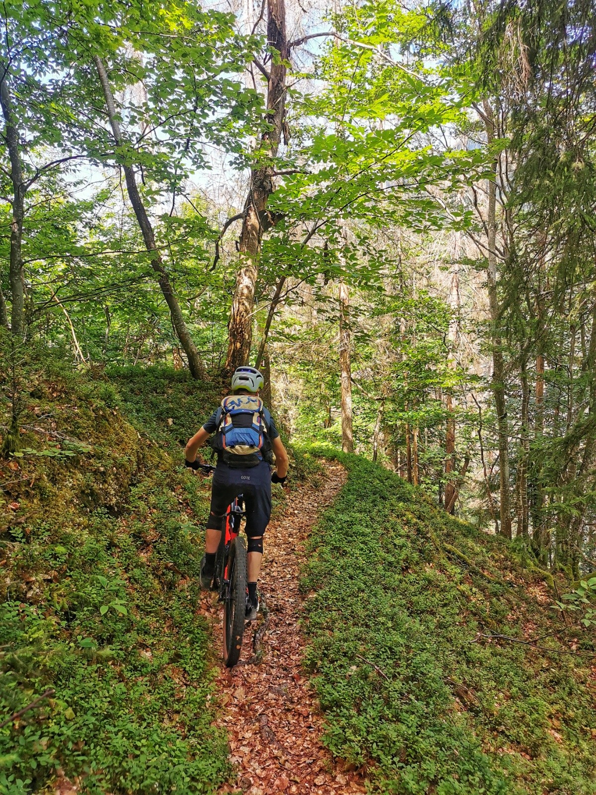  Vers les gorges de l'Arly