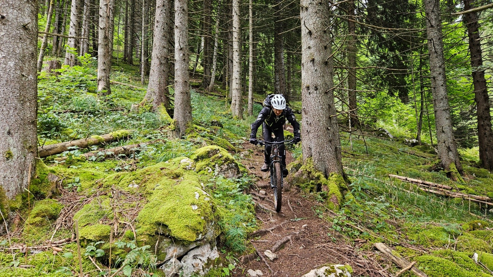 Super sentier.