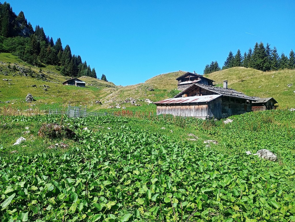 #11 Chalets de la Bombardellaz Chalets de la Bombardellaz