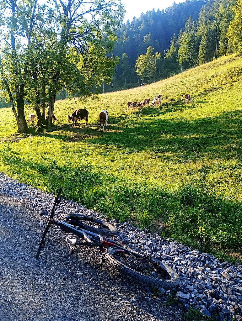 #1 Départ au frais Départ au frais