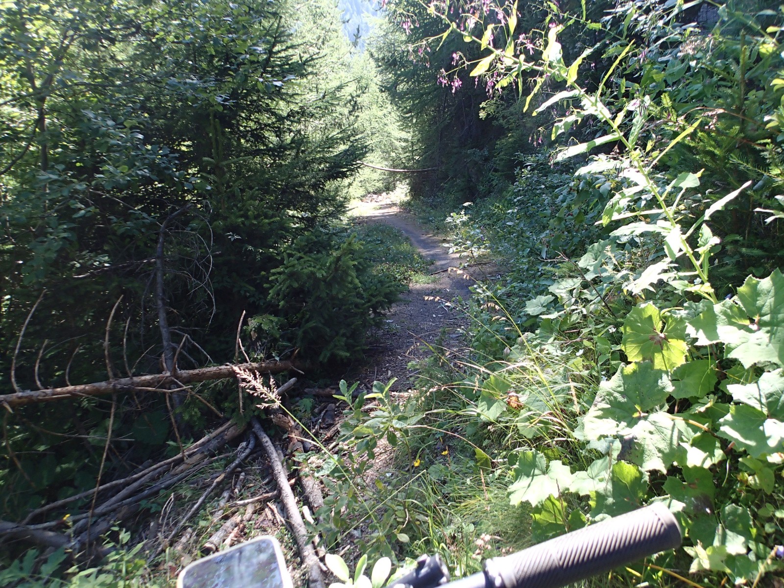 #4 Le pont Ste Anne lui est toujours encombré de blocs et autres troncs ! Le pont Ste Anne lui est toujours encombré de blocs et autres troncs !