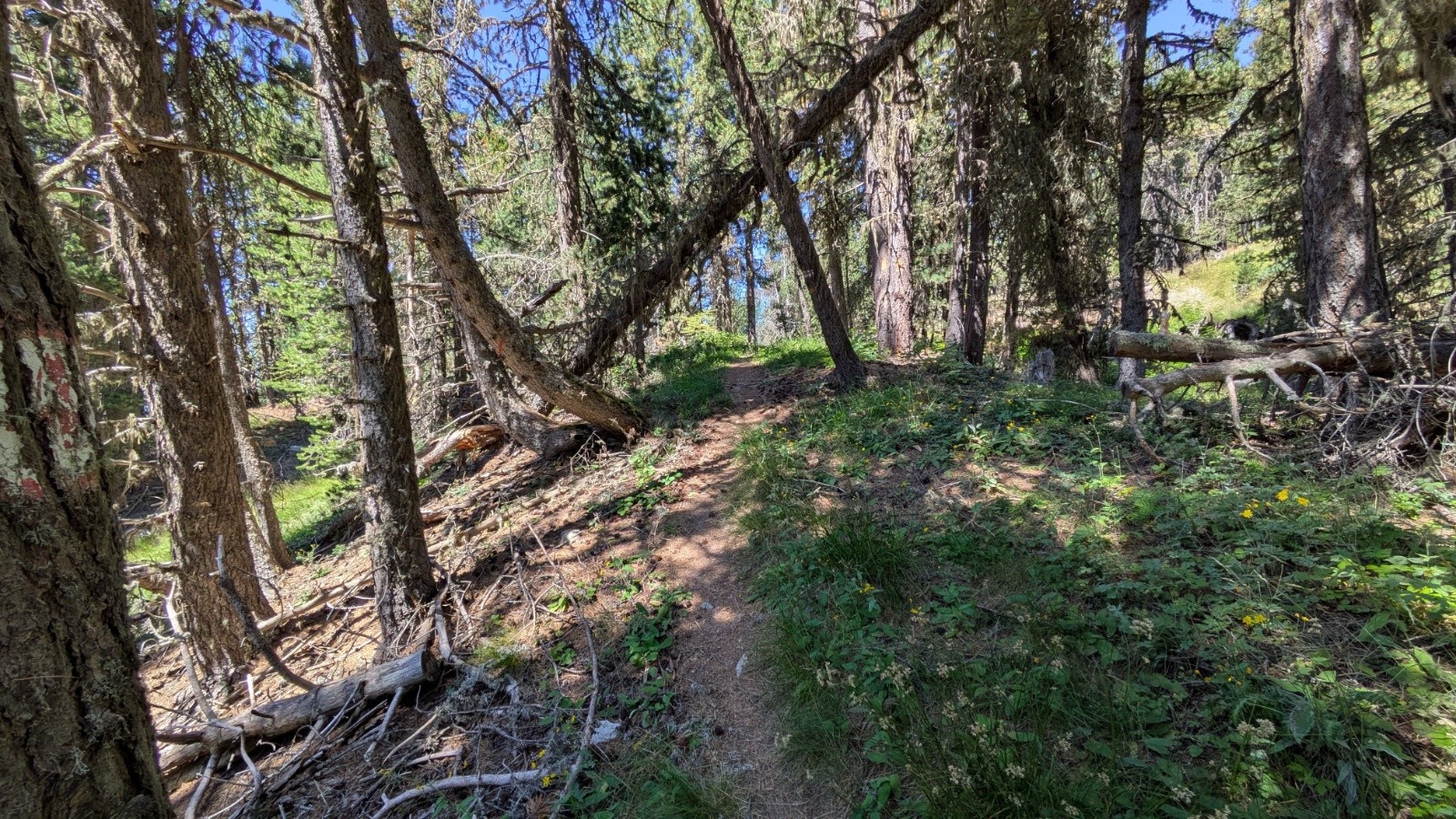 départ du sentier de Jalavez 