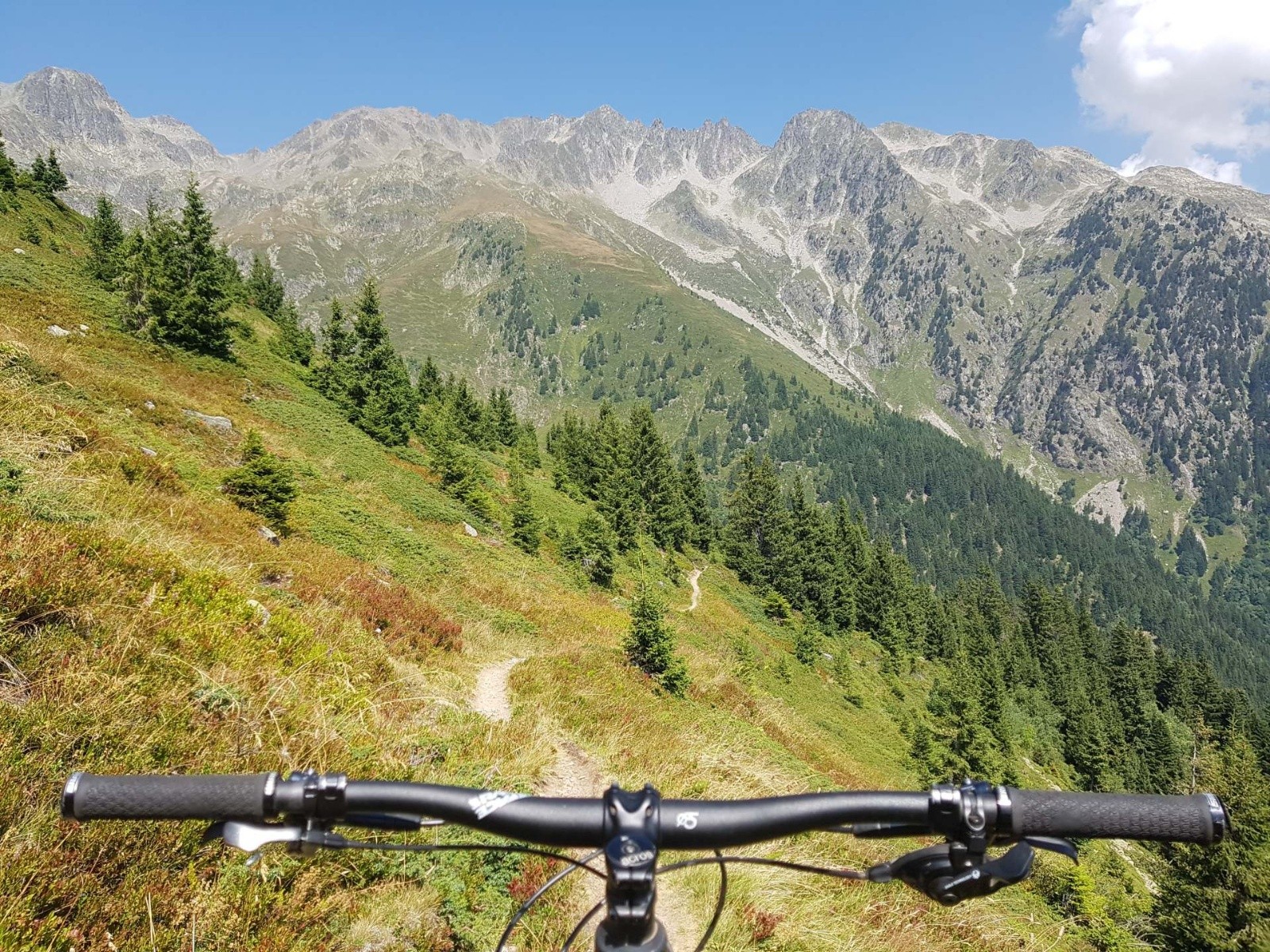 Belle Etoile 