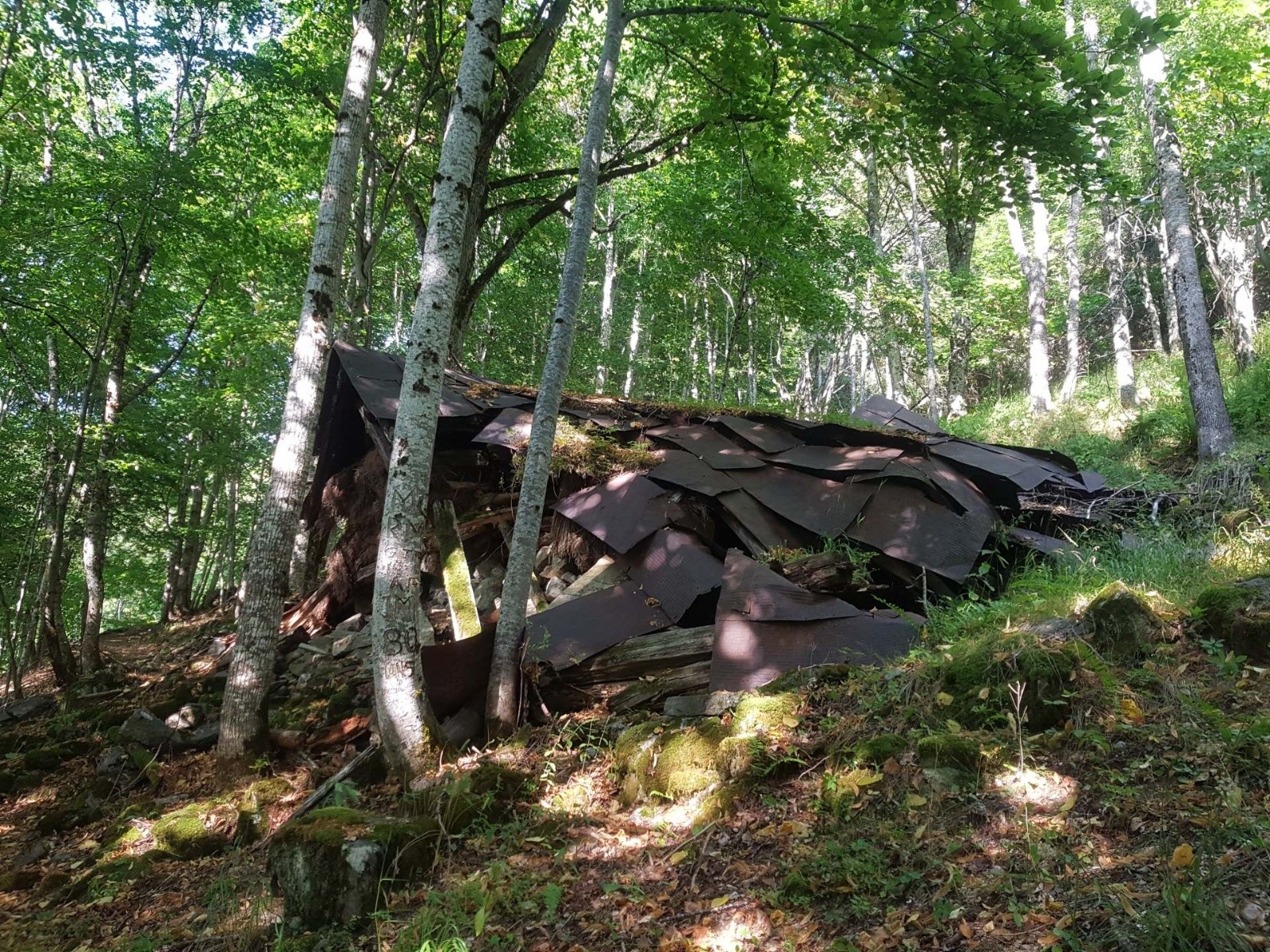 cabane Le Saucey 