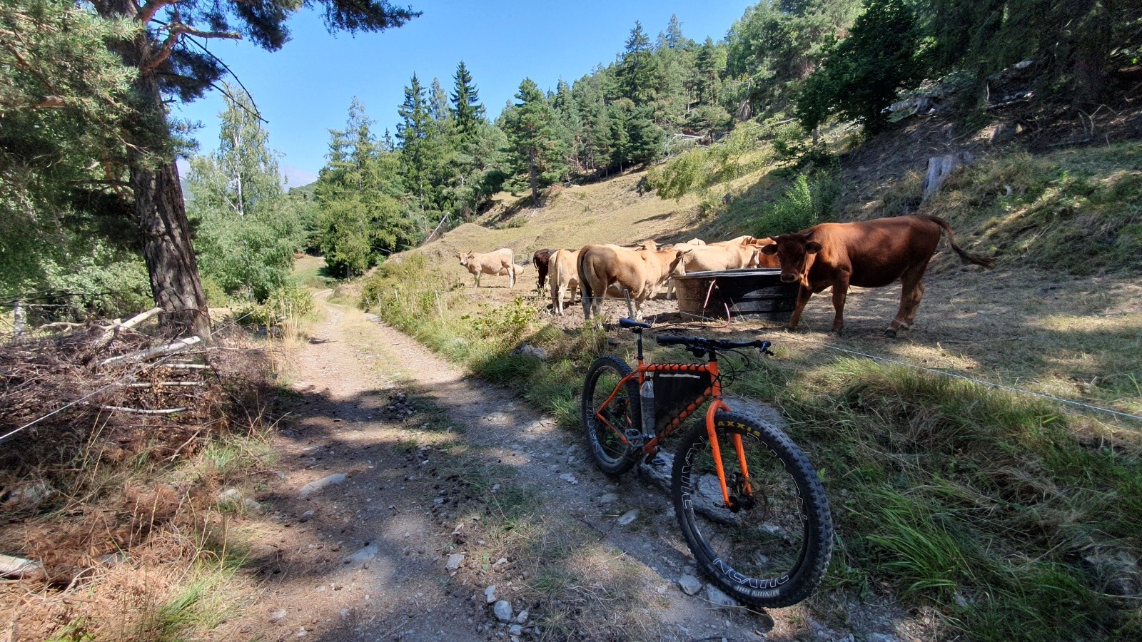 Via Alpina / Sentier du petit bonheur