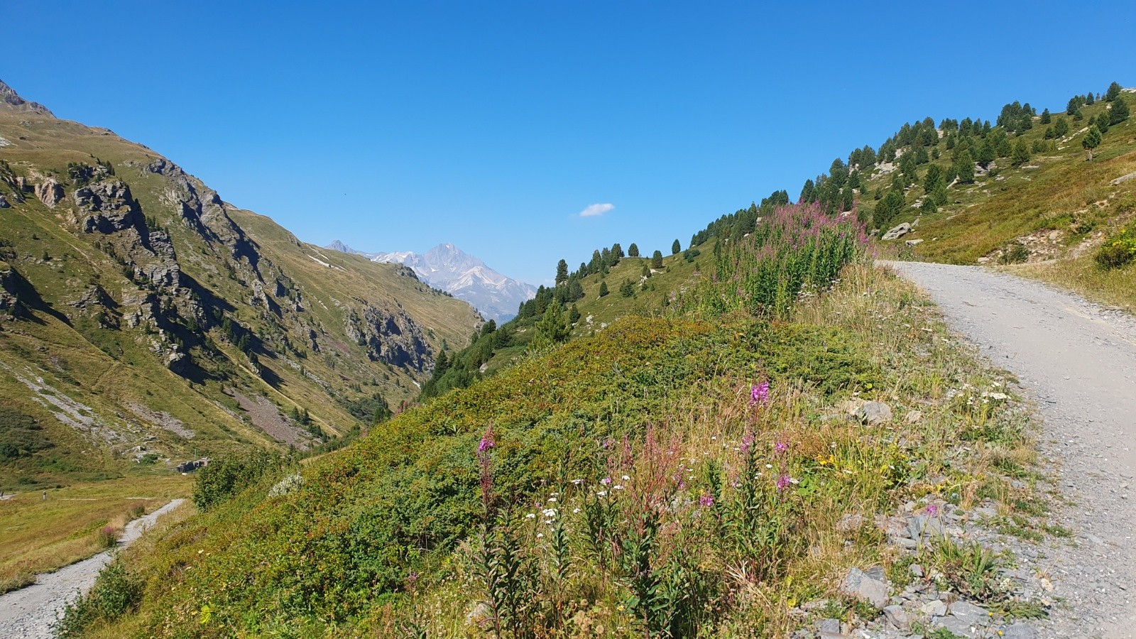 Montée col de la vallée Etroite