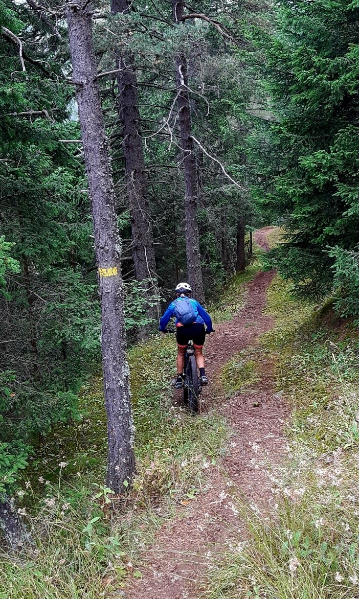 Enfin un sentier évident à suivre 