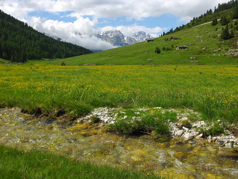 Orgère : Et au milieu coule une rivière