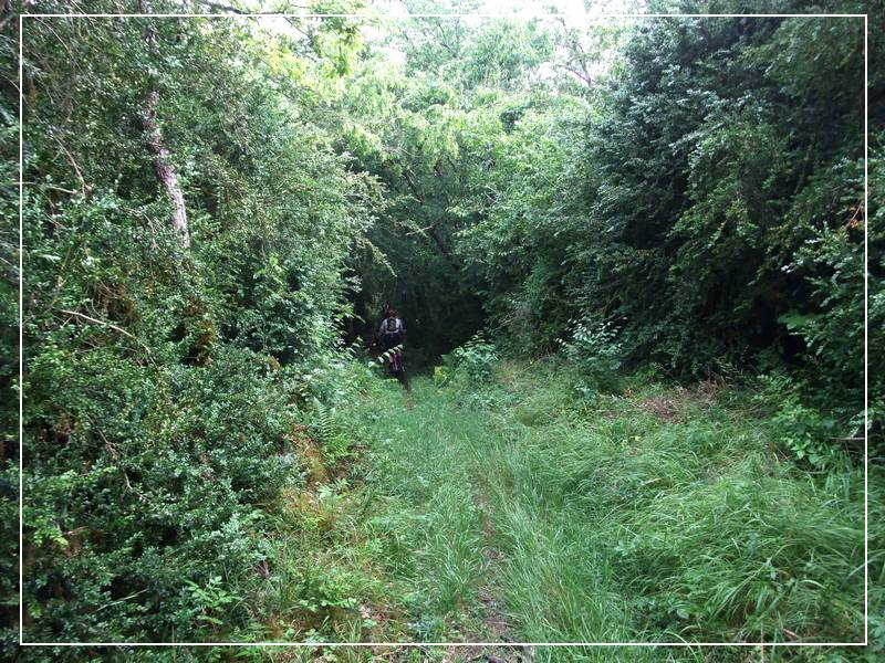Bois de la Mareraie : l'entrée de la descente bonus