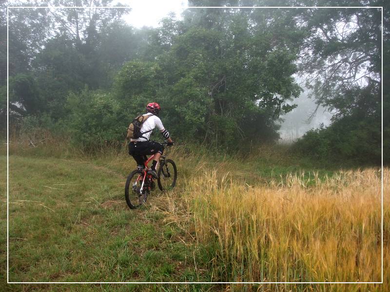 Vers le lac de Millieu : 9h00: Le brouillard se lève