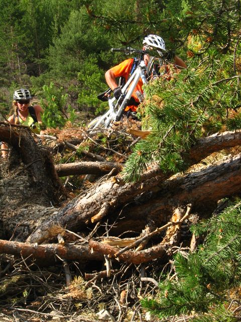 La jungle ! : Sportif comme itinéraire...