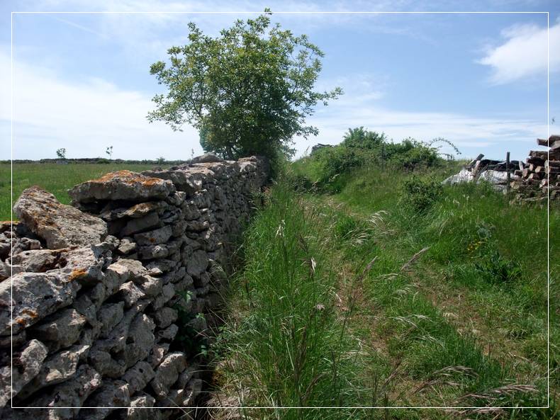 #10 Landes Beaujolaises : pas désagréable à rouler Landes Beaujolaises : pas désagréable à rouler