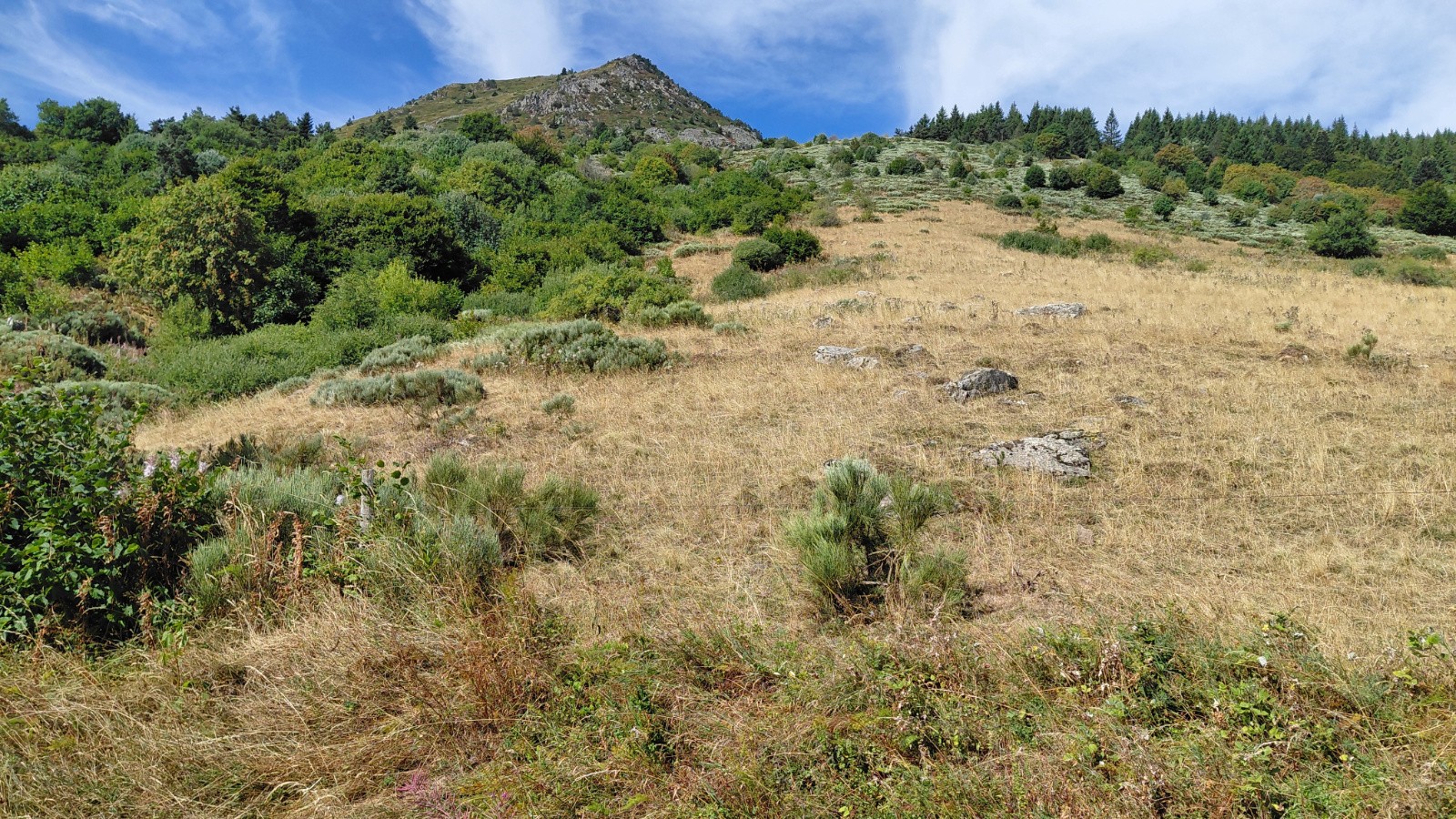 #4 sous le Mézenc sous le Mézenc