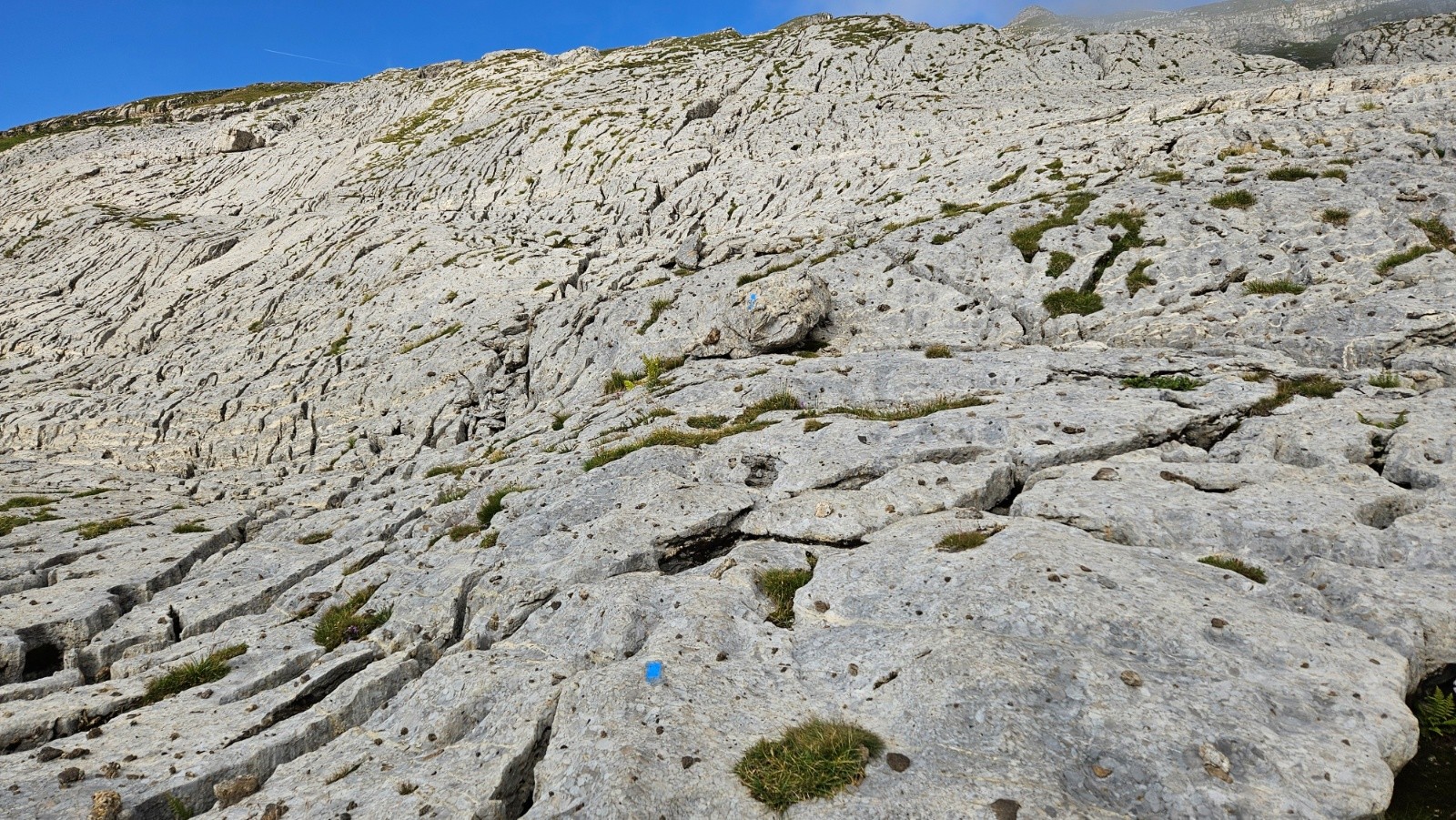 #4 Balisage au sol bleu en direction des Lindars. Balisage au sol bleu en direction des Lindars.
