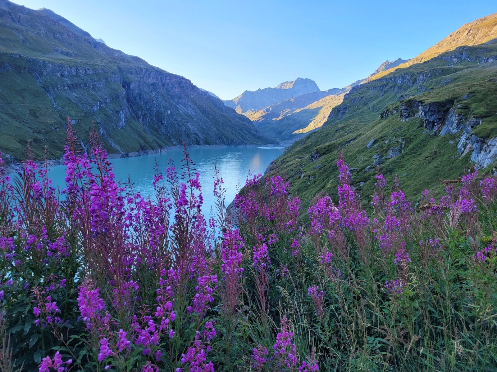 #13 Rive gauche du lac de Mauvoisin Rive gauche du lac de Mauvoisin