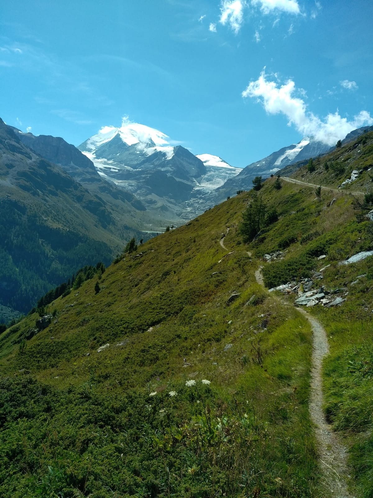 #7 Single et Bishorn Single et Bishorn