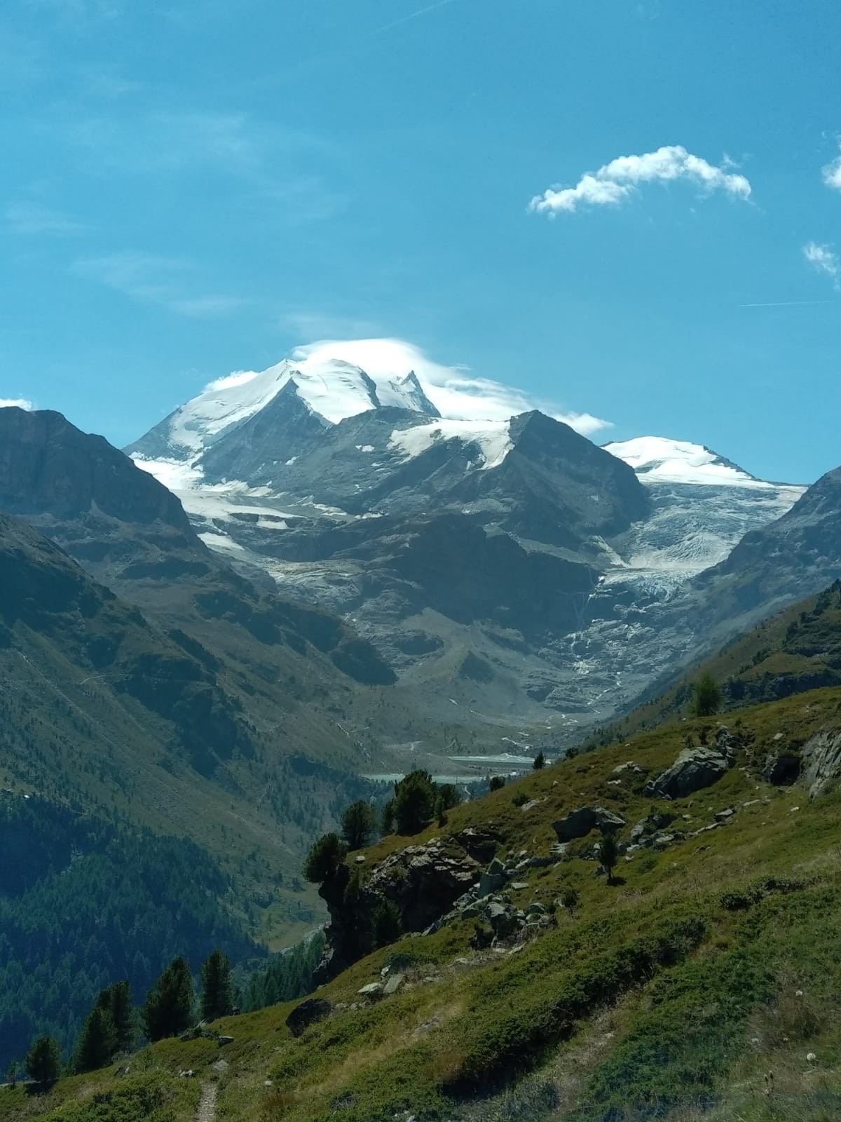 #8 Bishorn Bishorn