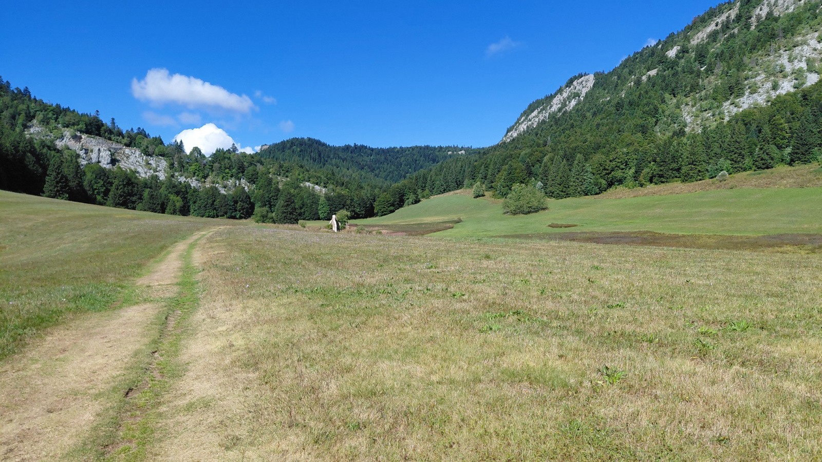 #2 plaine d plaine d'Herbouilly vue nord