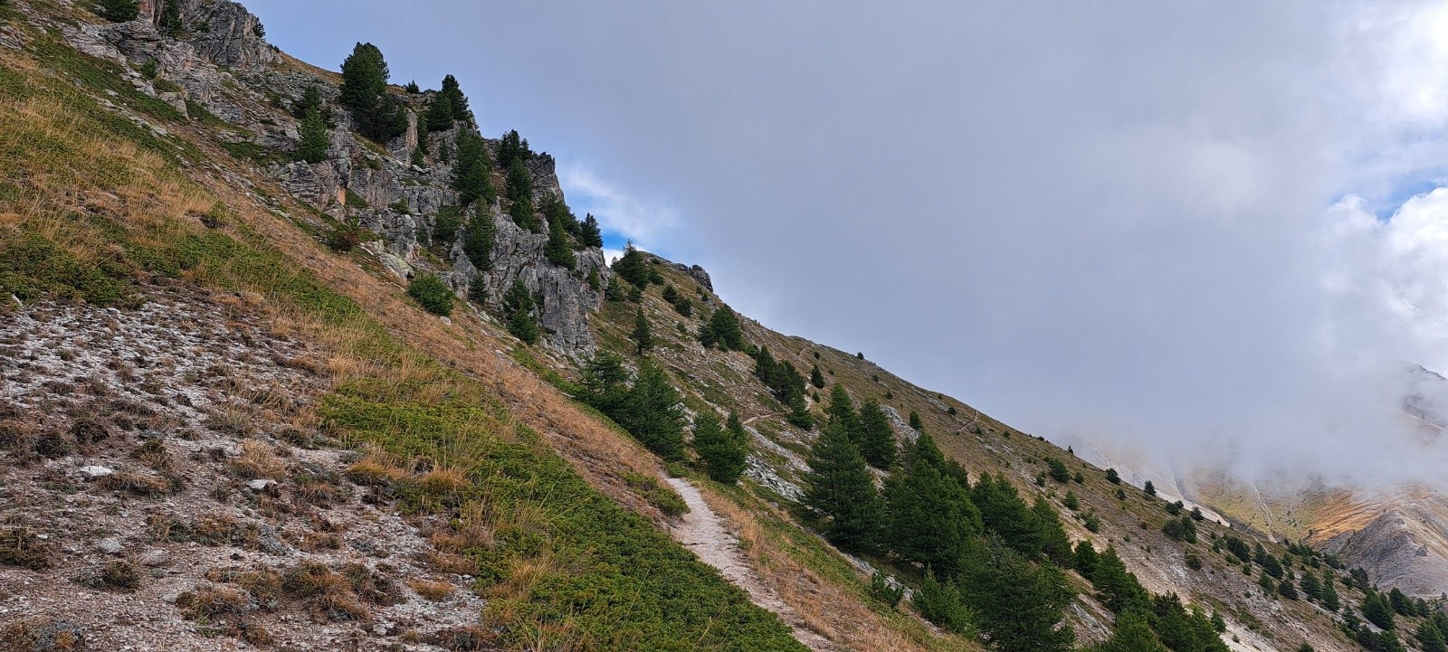#9 Sentier montée Sentier montée