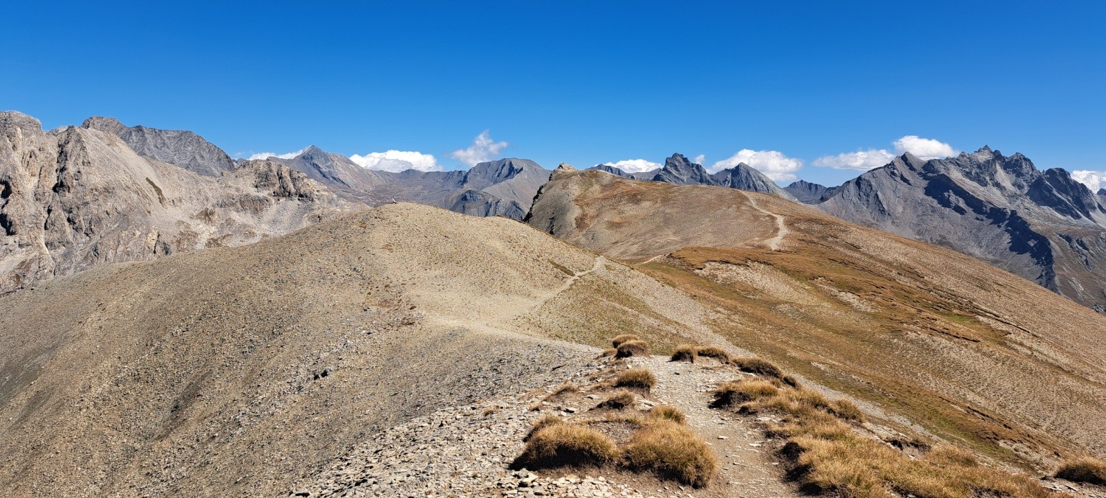 Tête de Girardin en vue