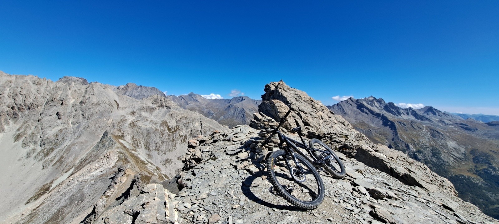 Tête de Girardin