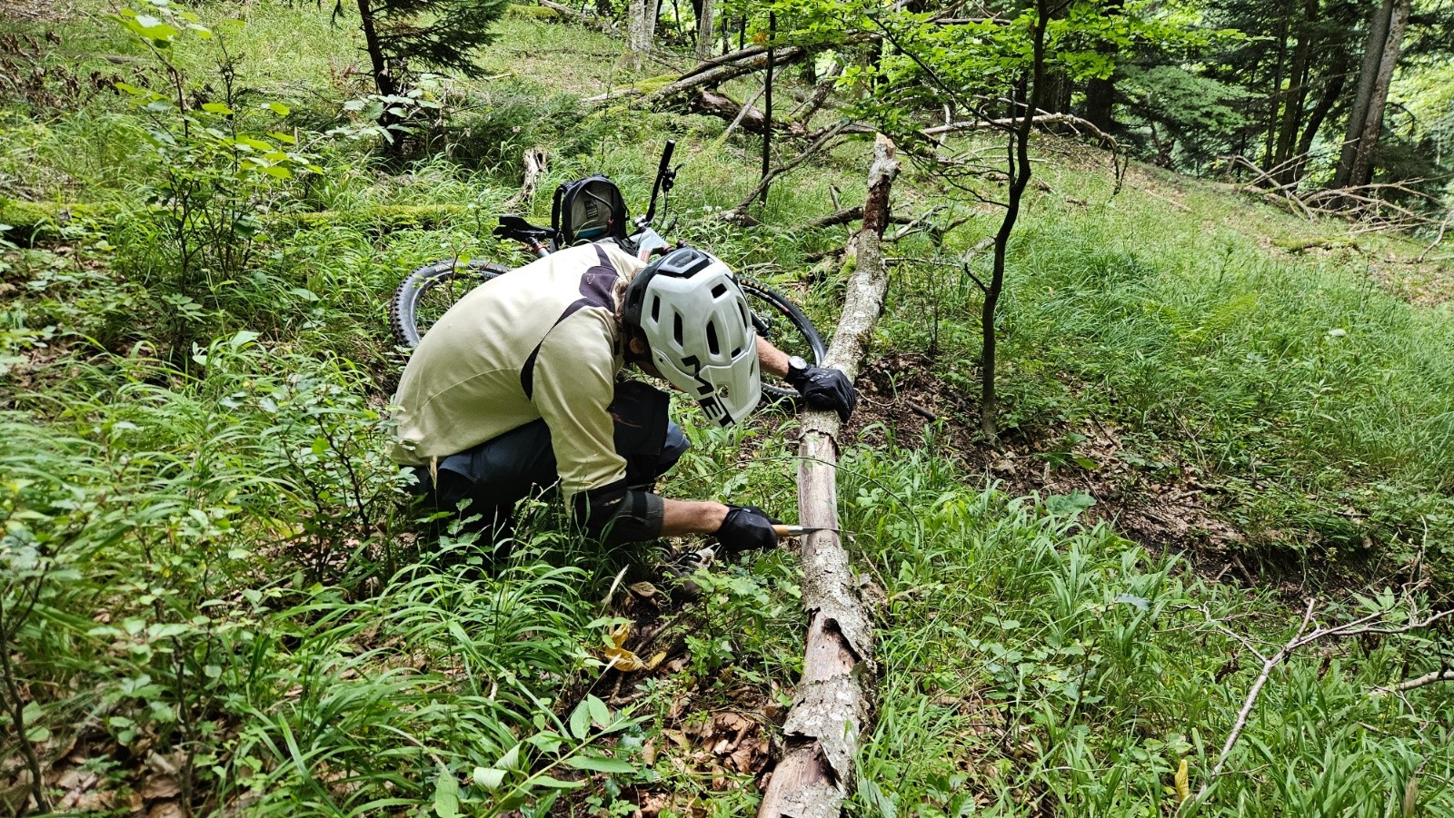 #7 Entretien du sentier. Entretien du sentier.