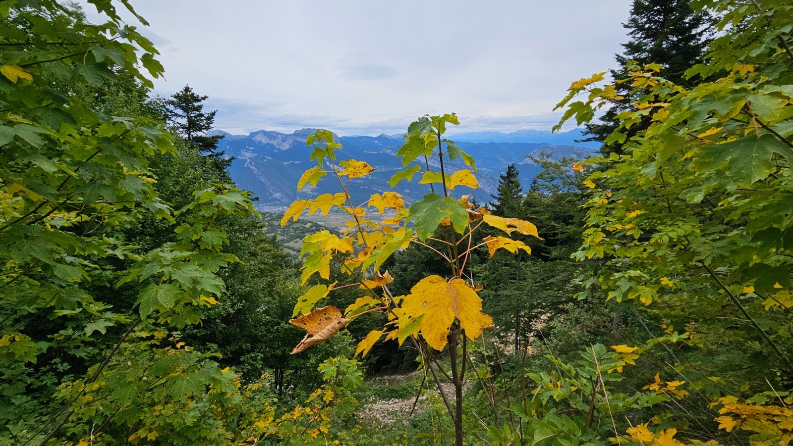 #6 Couleurs d Couleurs d'automne... Déjà !