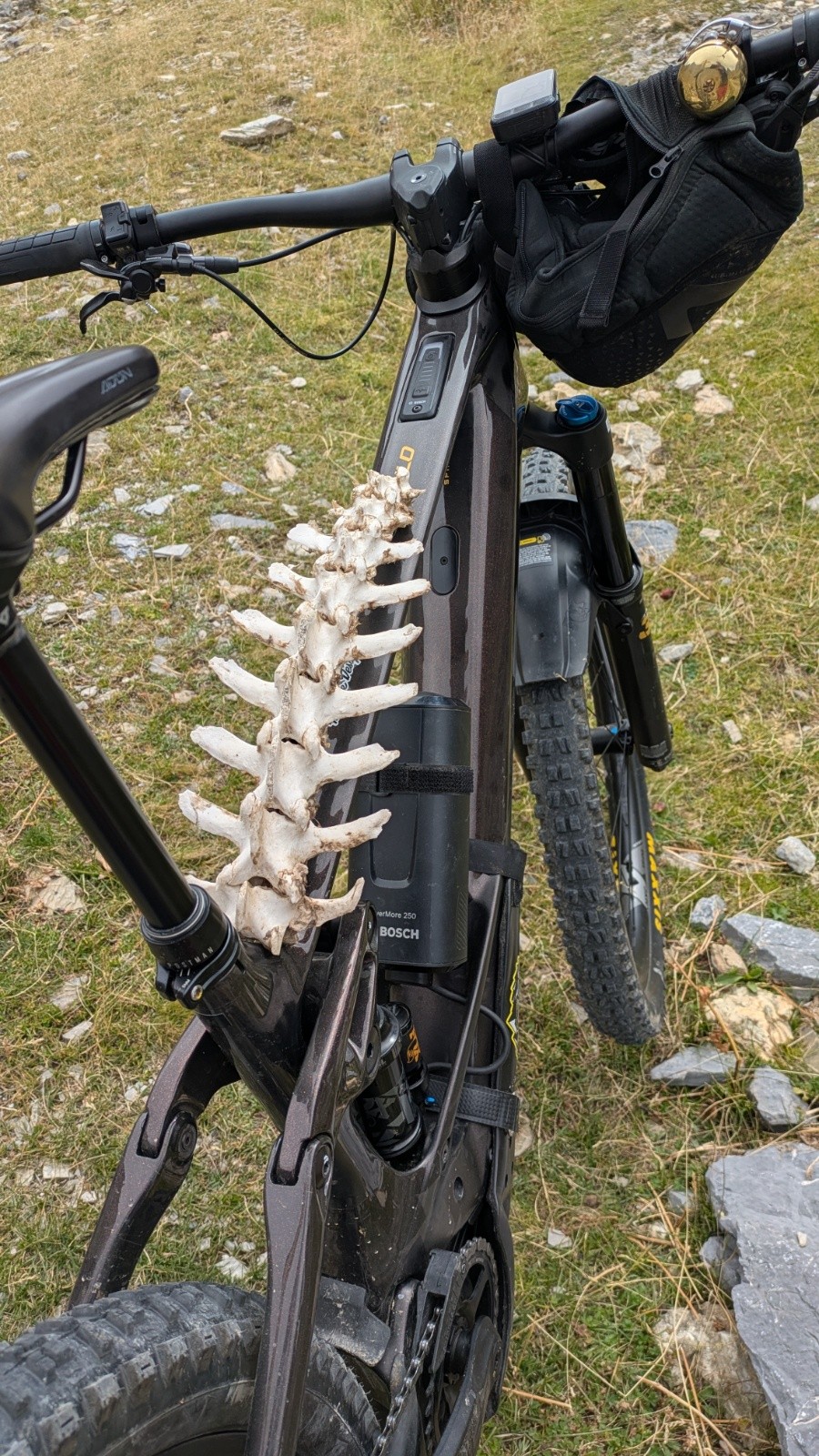 faire corps avec la machine ou le prolongement de soi 🤪