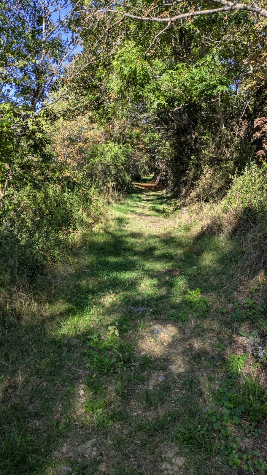 bonne entrée en matière 