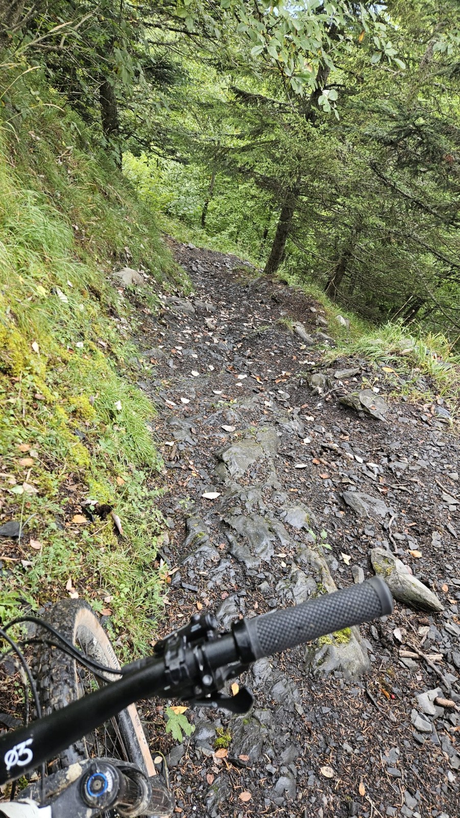 Une vraie descente technique et bien grasse