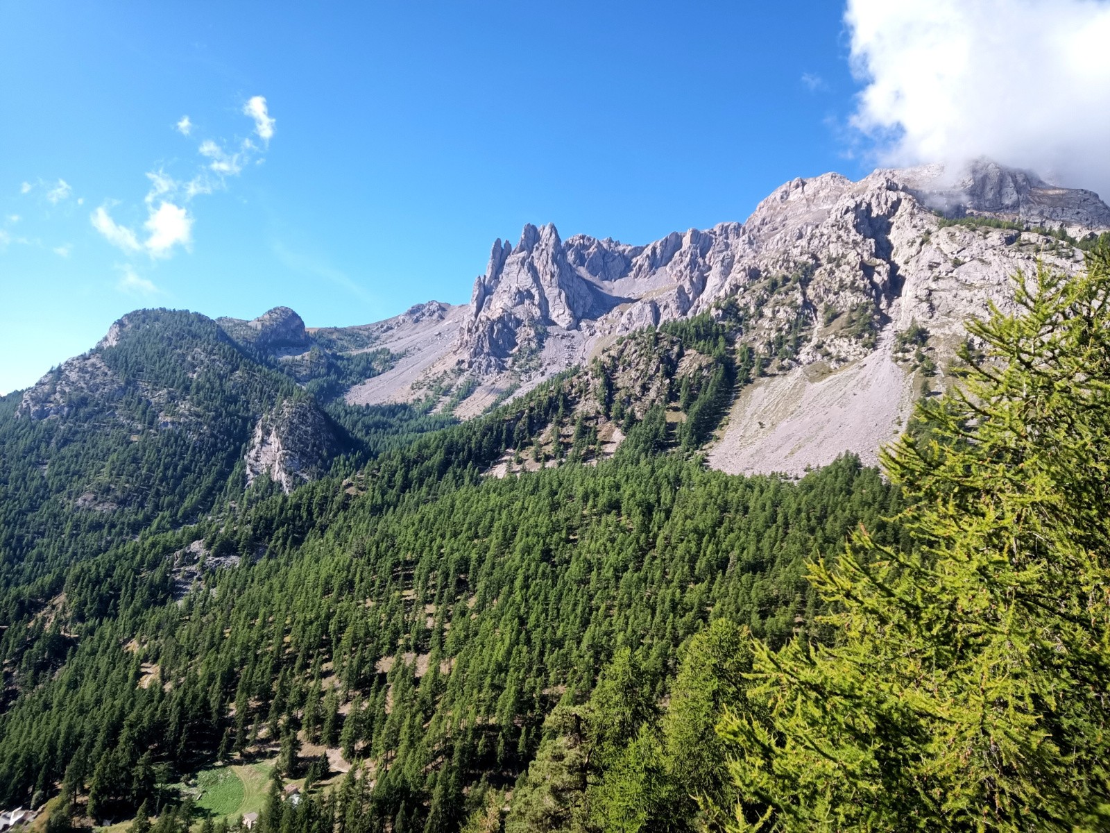Les tenailles de montbrison